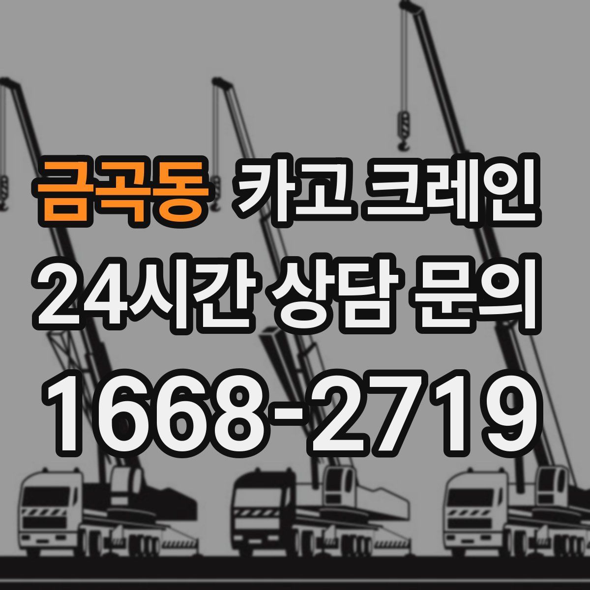 금곡동 카고 크레인