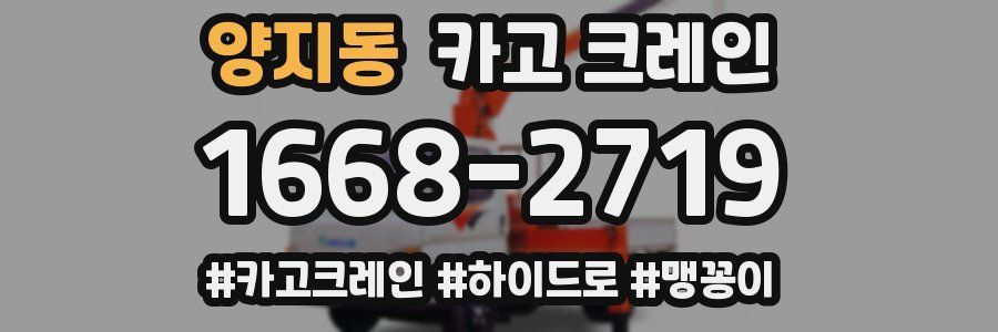 양지동 크레인 작업