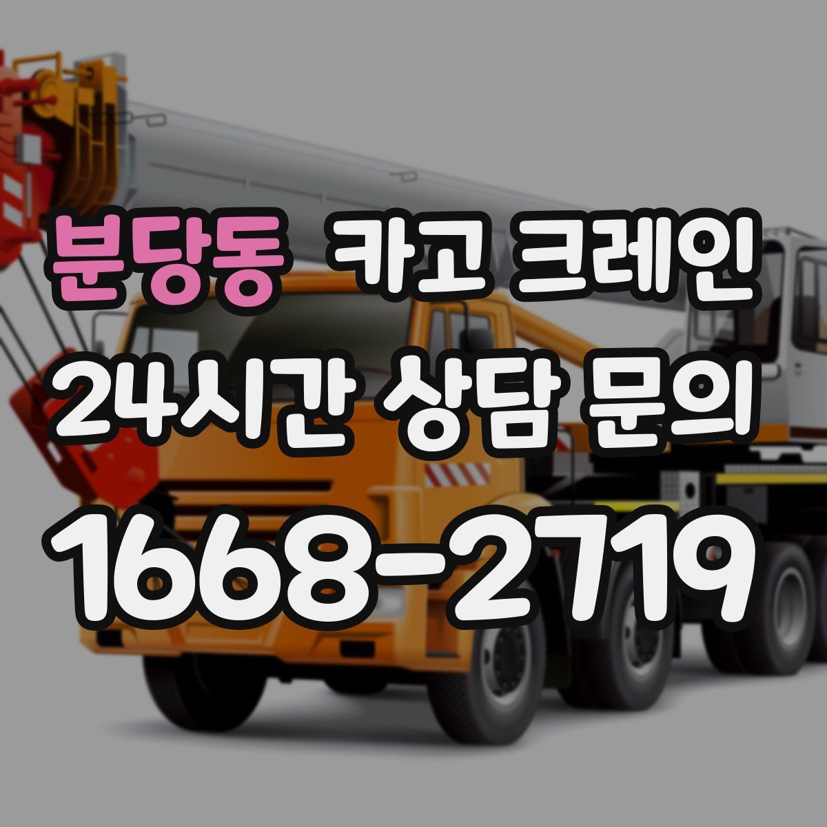 분당동 카고 크레인