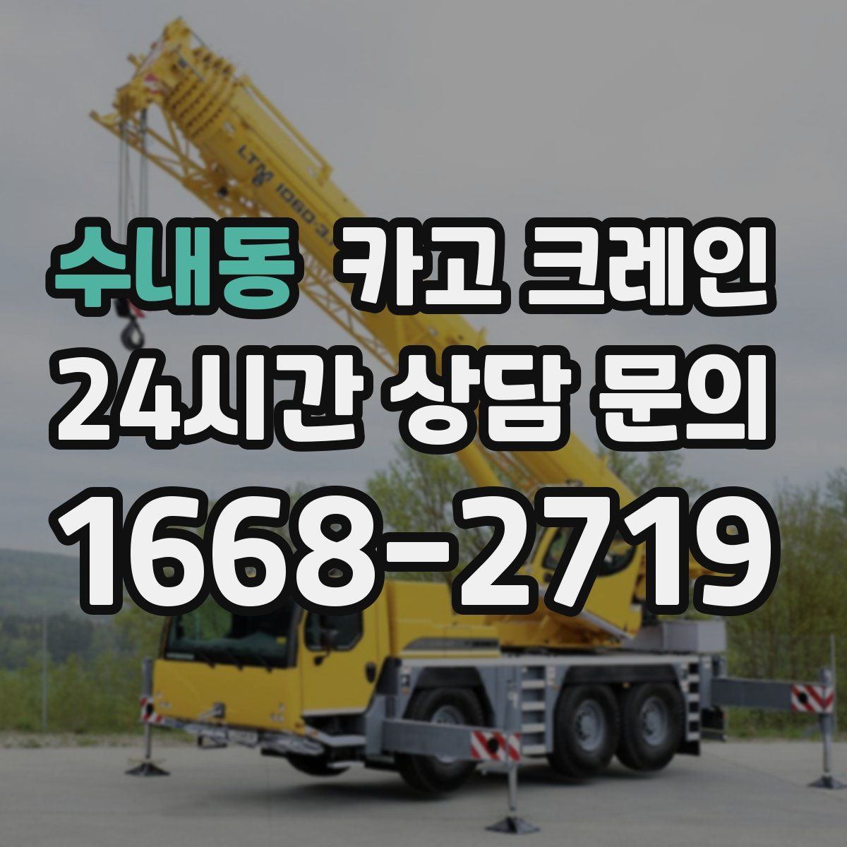 수내동 카고 크레인