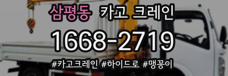 삼평동 크레인 작업