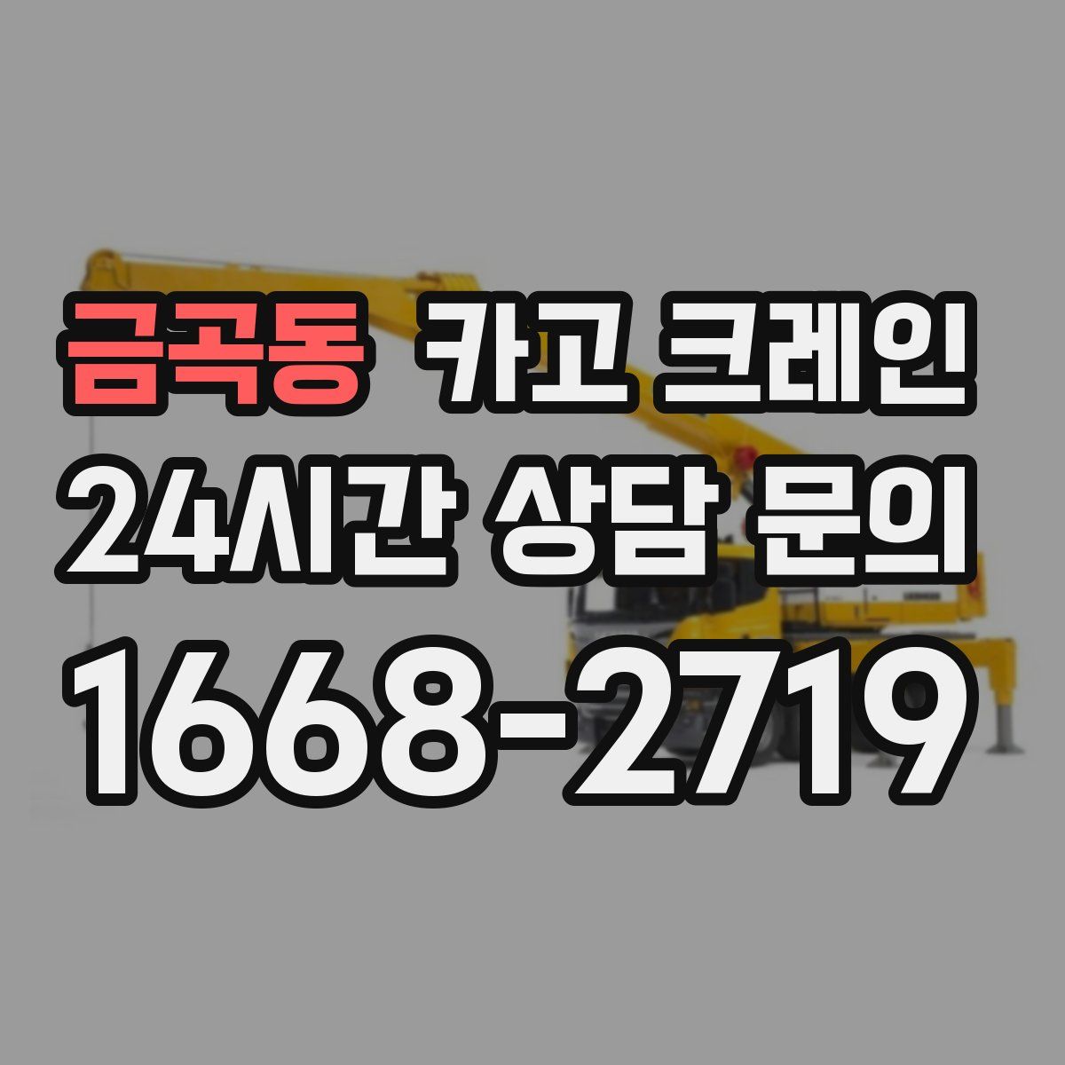 금곡동 카고 크레인