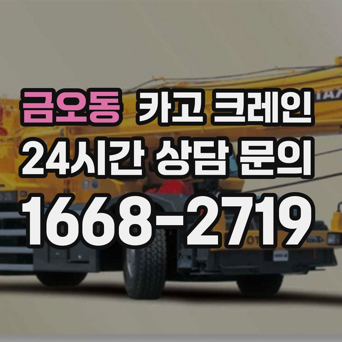 금오동 카고 크레인