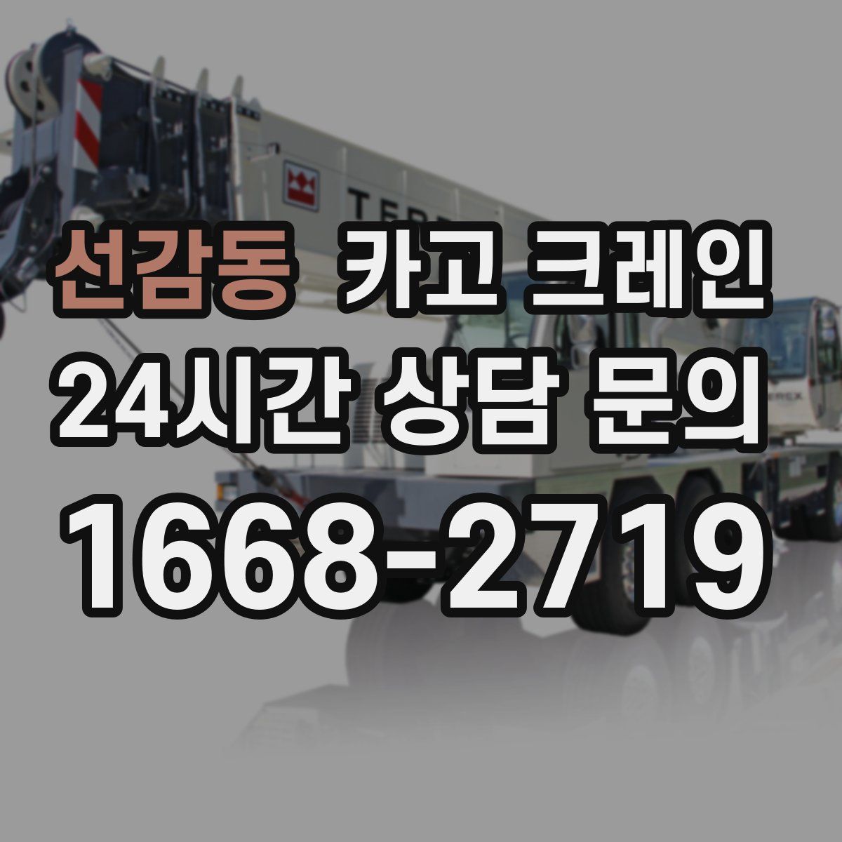 선감동 카고 크레인