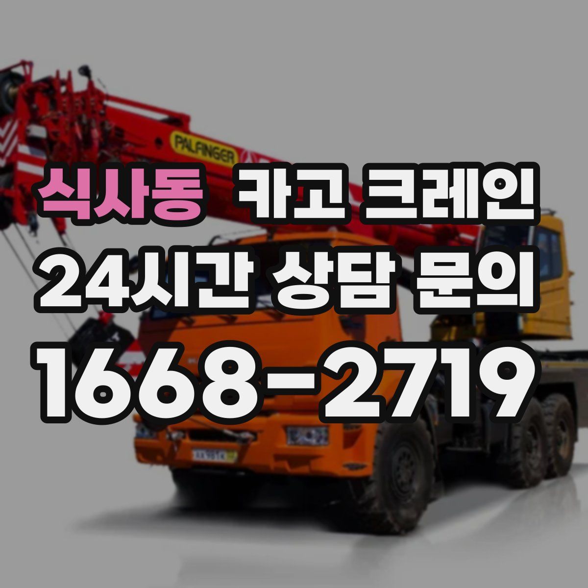 식사동 카고 크레인