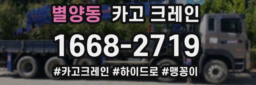 별양동 크레인 작업