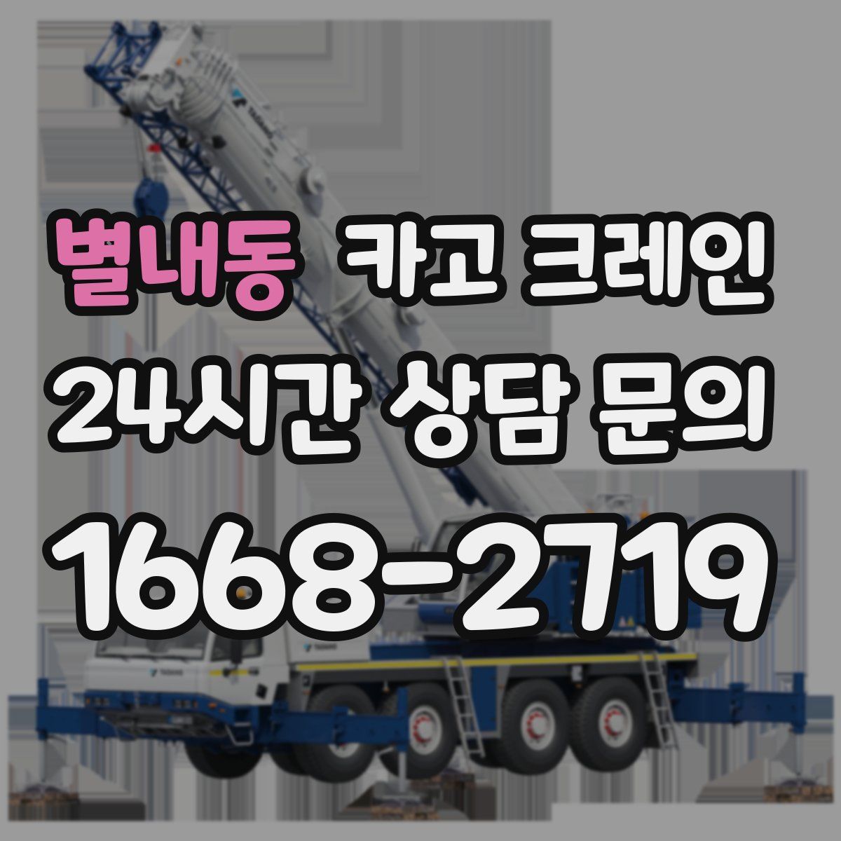 별내동 카고 크레인