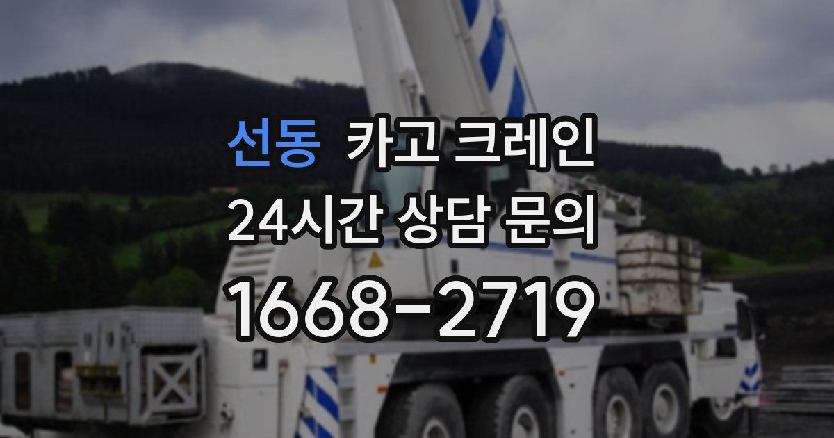 선동 크레인