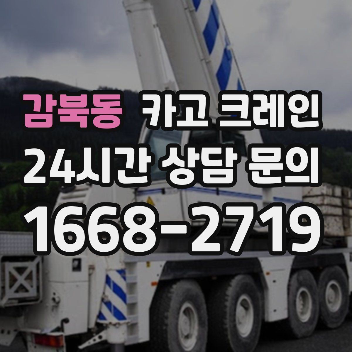 감북동 카고 크레인 당일 투입 가능 여부는 무엇으로 결정될까