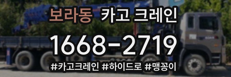 보라동 크레인 작업