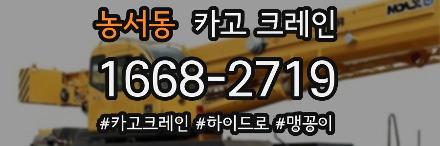 농서동 크레인 작업