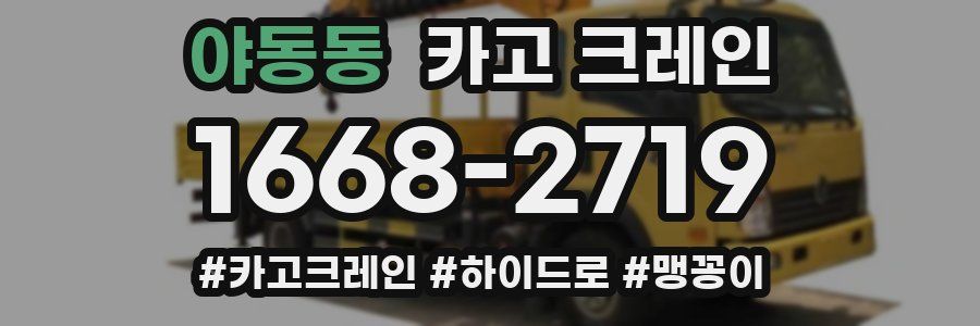 야동동 크레인 작업