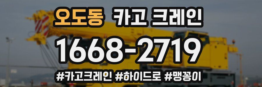 오도동 크레인 작업