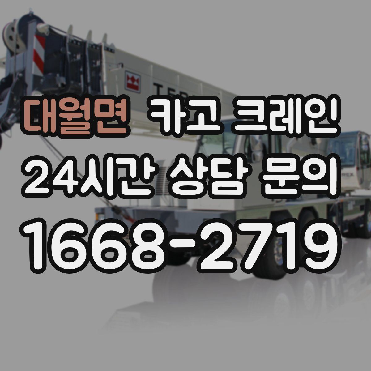 대월면 카고 크레인