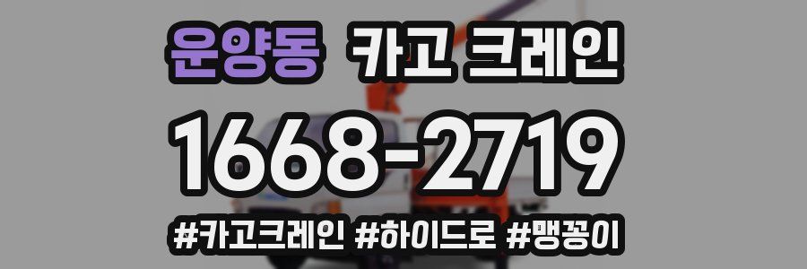 운양동 크레인 작업