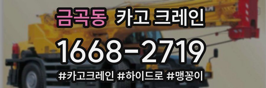 금곡동 크레인 작업