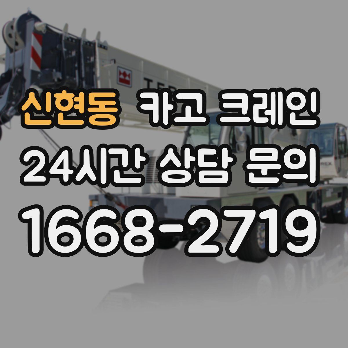 신현동 카고 크레인