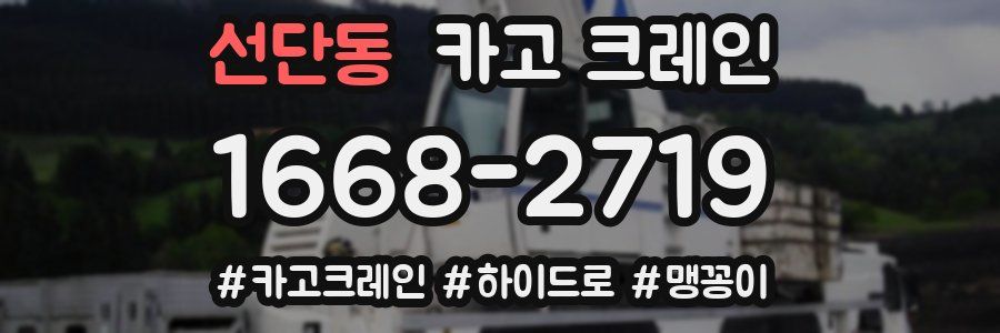 선단동 크레인 작업