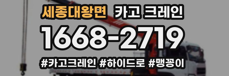 세종대왕면 크레인 작업