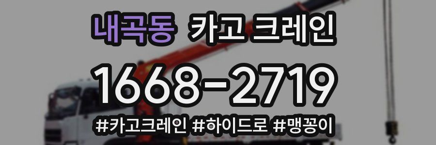 내곡동 크레인 작업