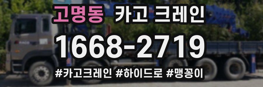 고명동 크레인 작업