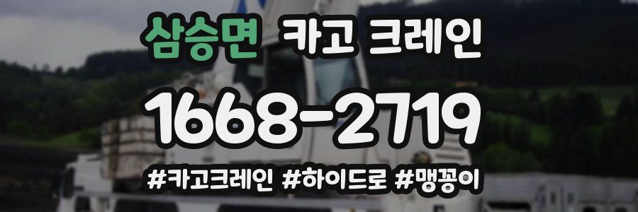 삼승면 크레인 작업