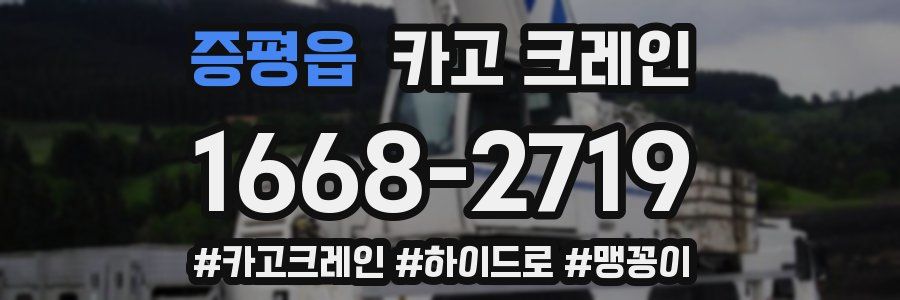 증평읍 크레인 작업