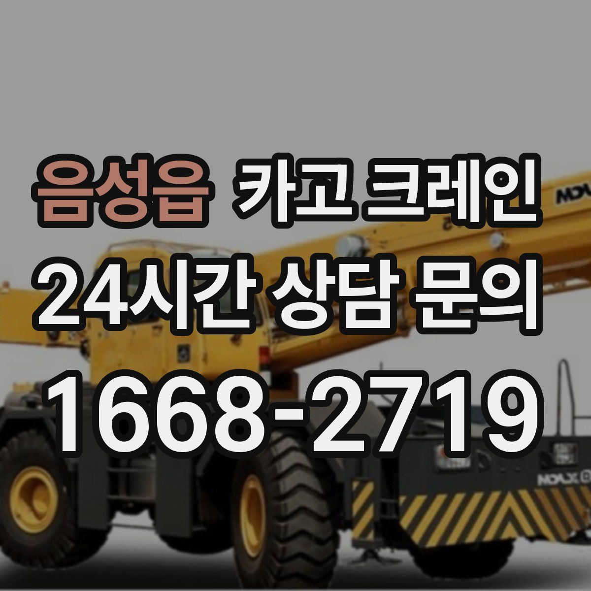 음성읍 카고 크레인