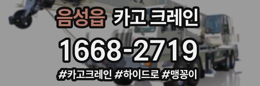 음성읍 크레인 작업