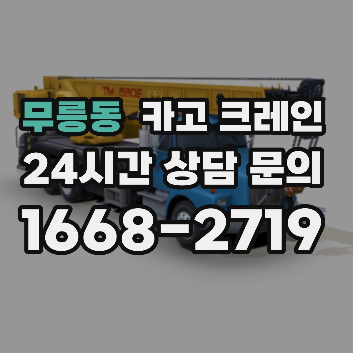 무릉동 카고 크레인