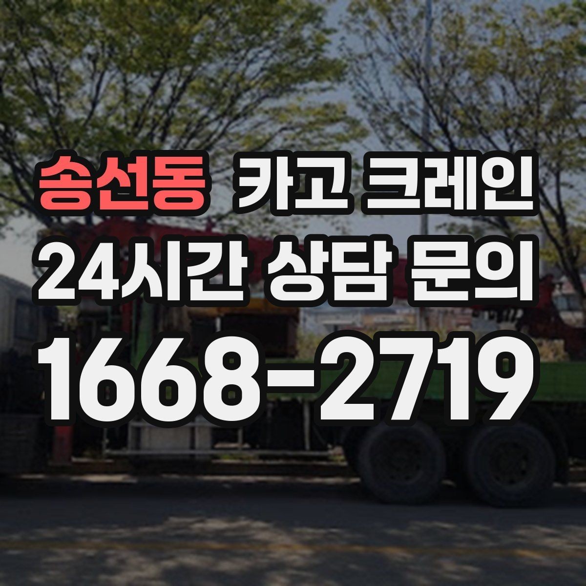 송선동 카고 크레인 지반 여건 확인이 중요한 이유