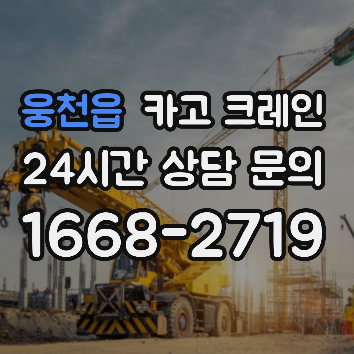 웅천읍 카고 크레인