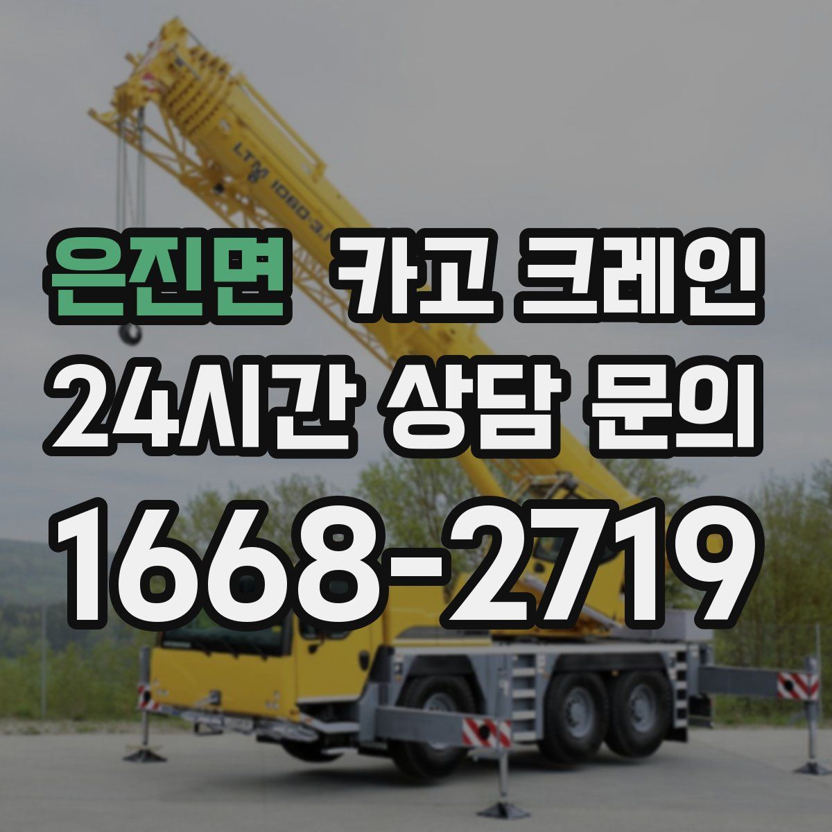 은진면 카고 크레인