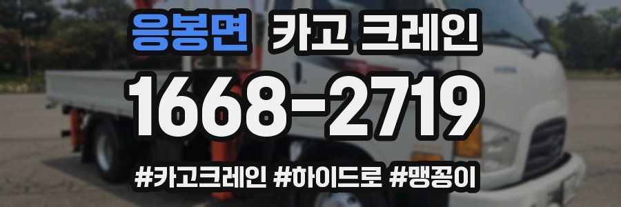 응봉면 크레인 작업