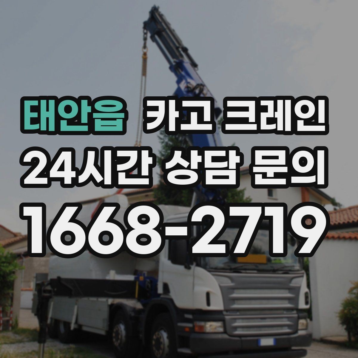 태안읍 카고 크레인 당일 투입 가능 여부는 무엇으로 결정될까