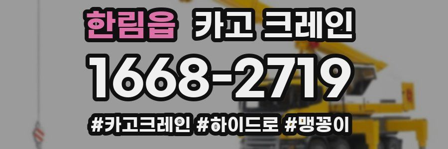 한림읍 크레인 작업