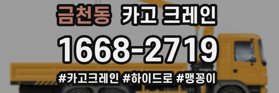 금천동 크레인 작업