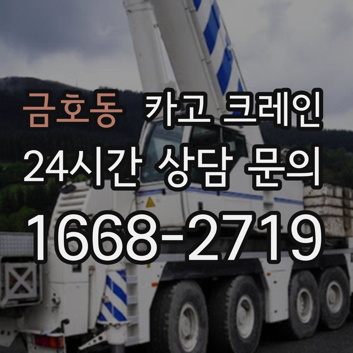 금호동 카고 크레인