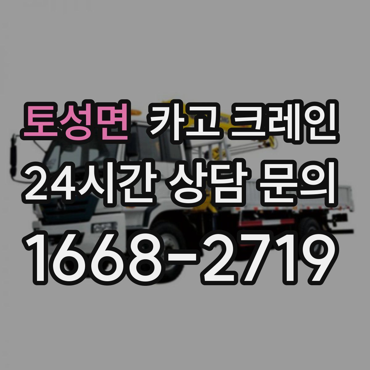 토성면 카고 크레인