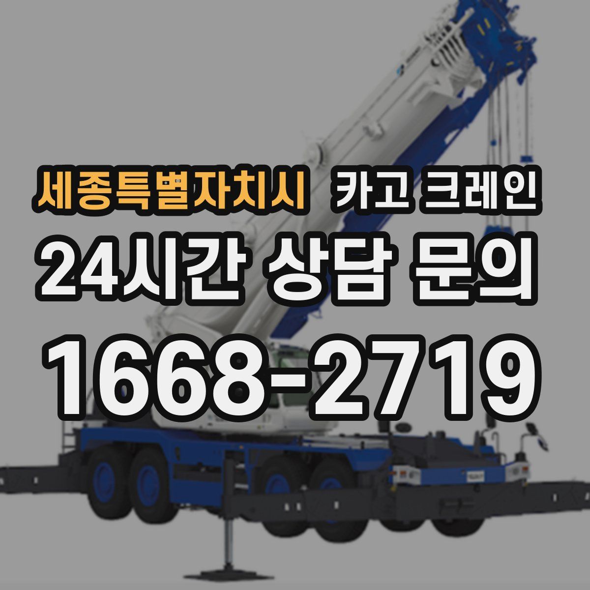 세종특별자치시 카고 크레인