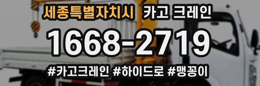 세종특별자치시 크레인 작업