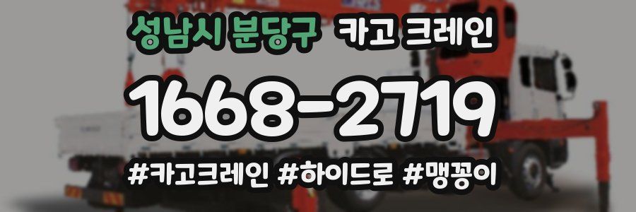 성남시 분당구 크레인 작업