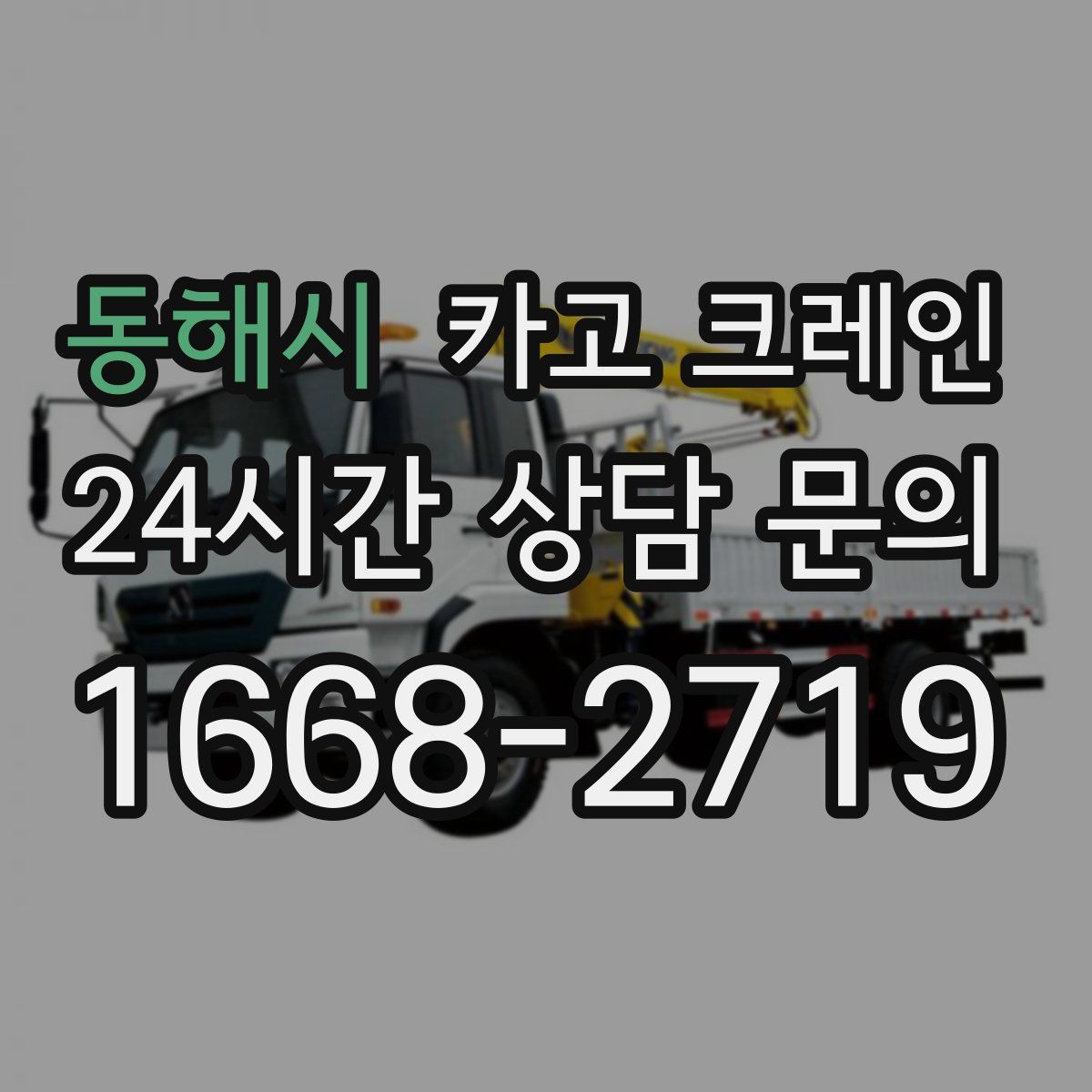 동해시 카고 크레인