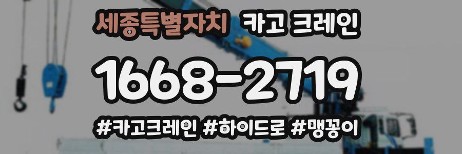 세종특별자치 크레인 작업