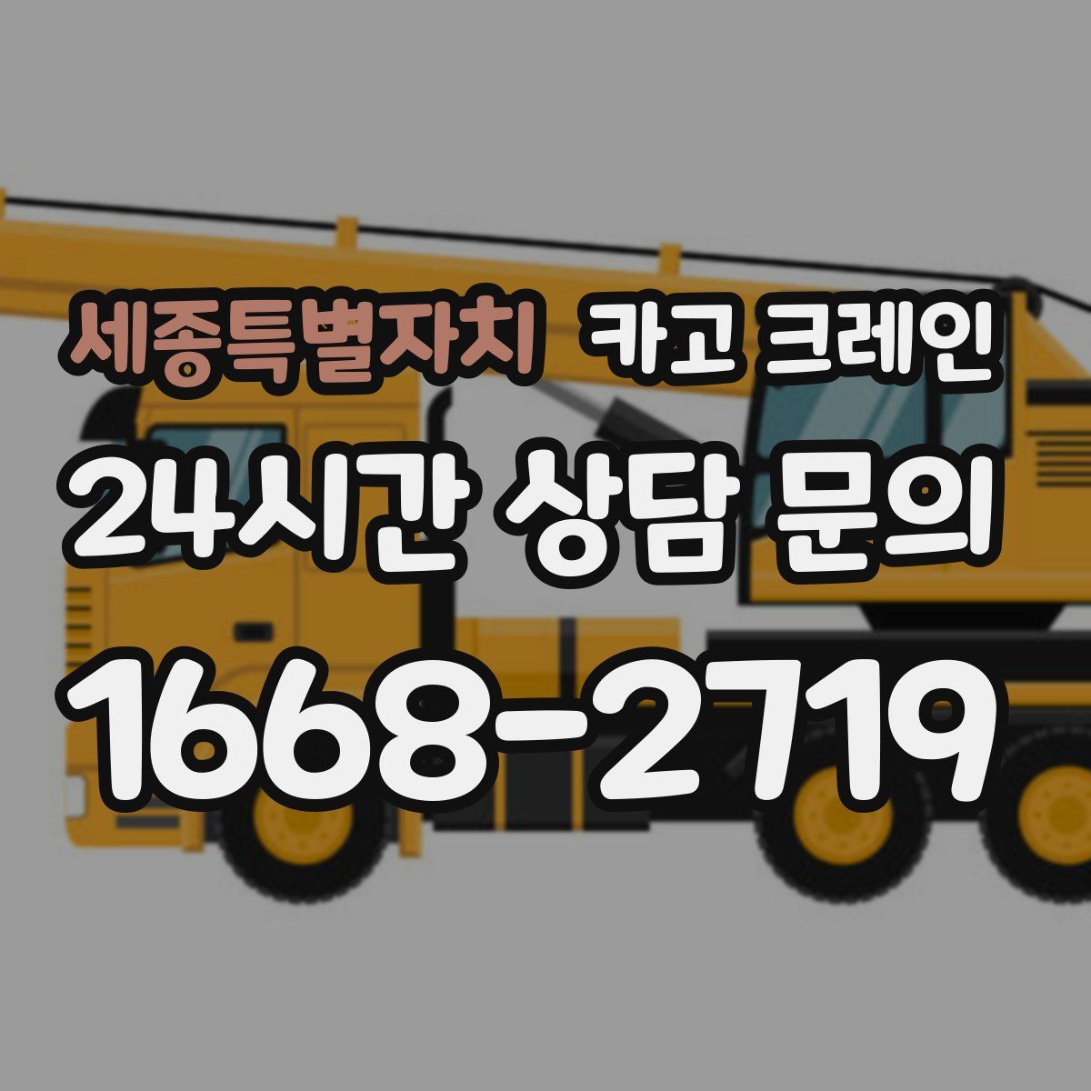 세종특별자치 카고 크레인