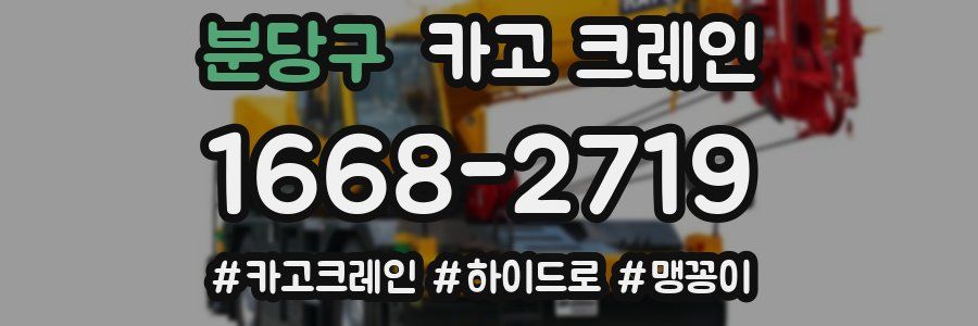 분당구 크레인 작업