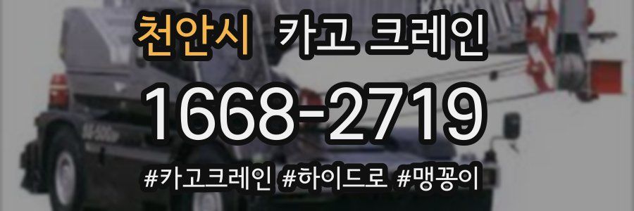천안시 크레인 작업