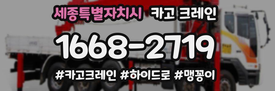 세종특별자치시 크레인 작업