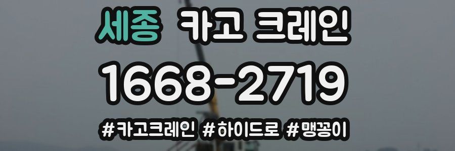 세종 크레인 작업