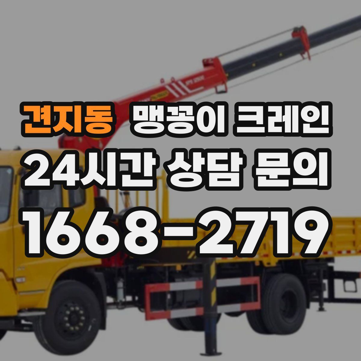 견지동 맹꽁이 크레인